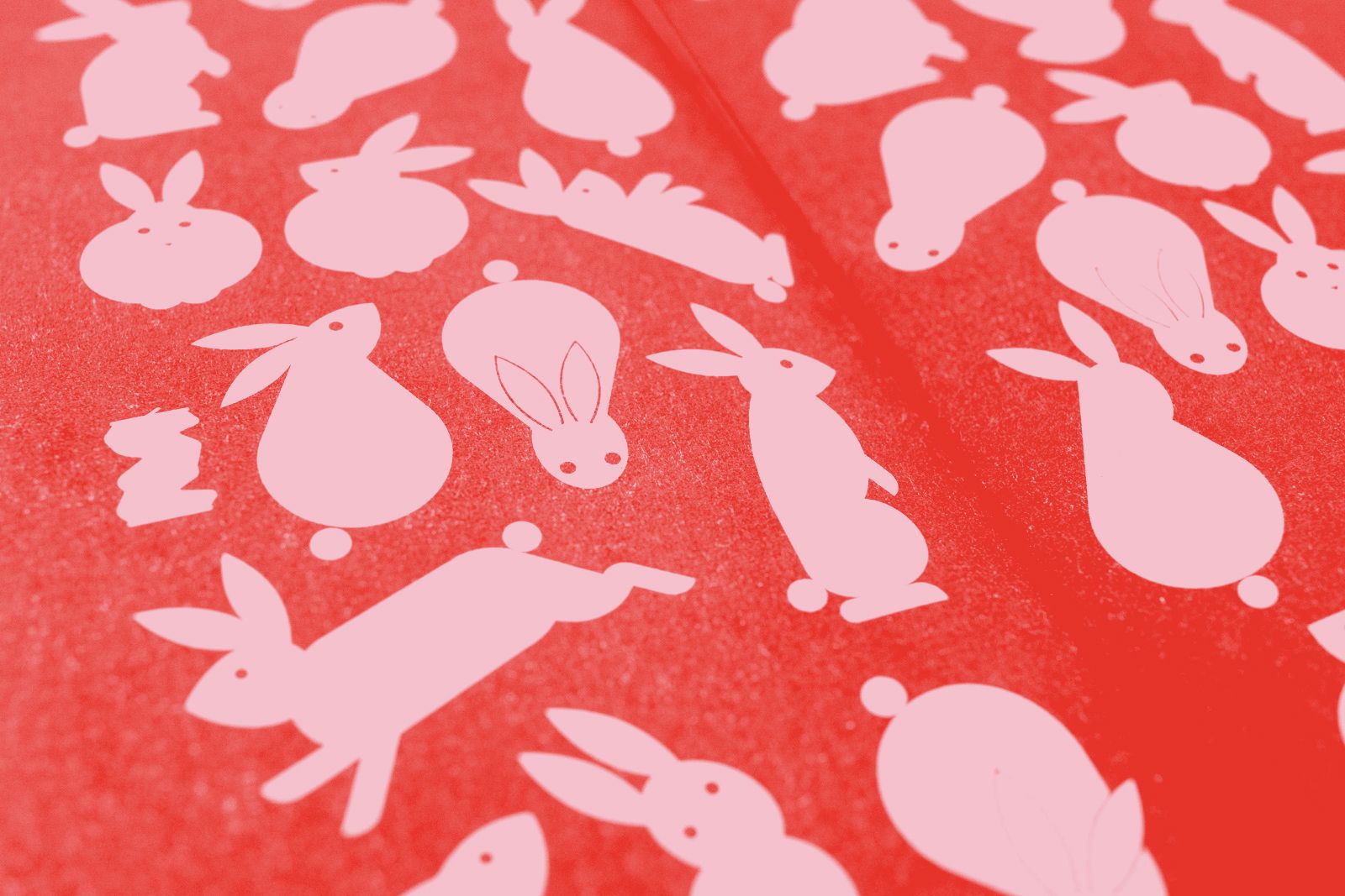 Crush Zine bunny illustration