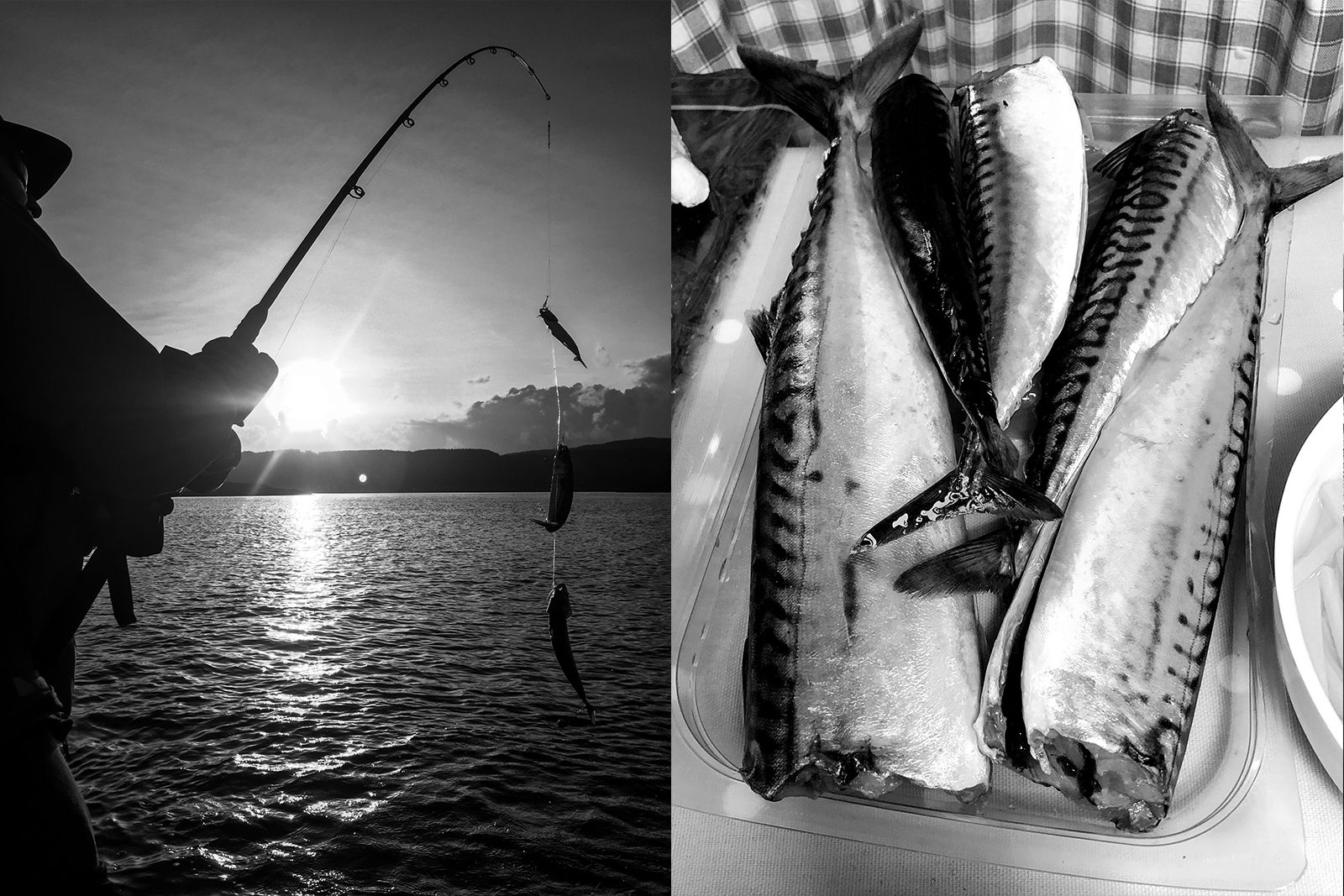 O Street Studio Fishing Trip 2019 - (left) Black and white Sunset (right) fish close up