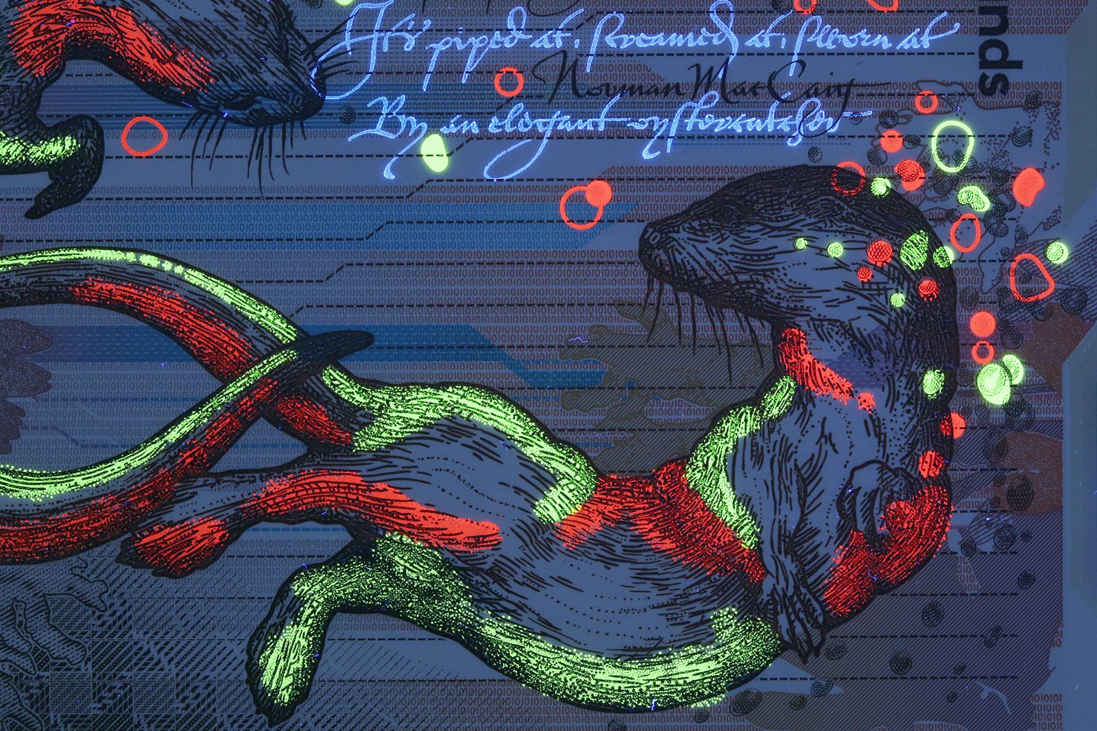 RBS new polymer £10 banknote - closeup image of an otter with UV detailing. Design by O Street, Glasgow.