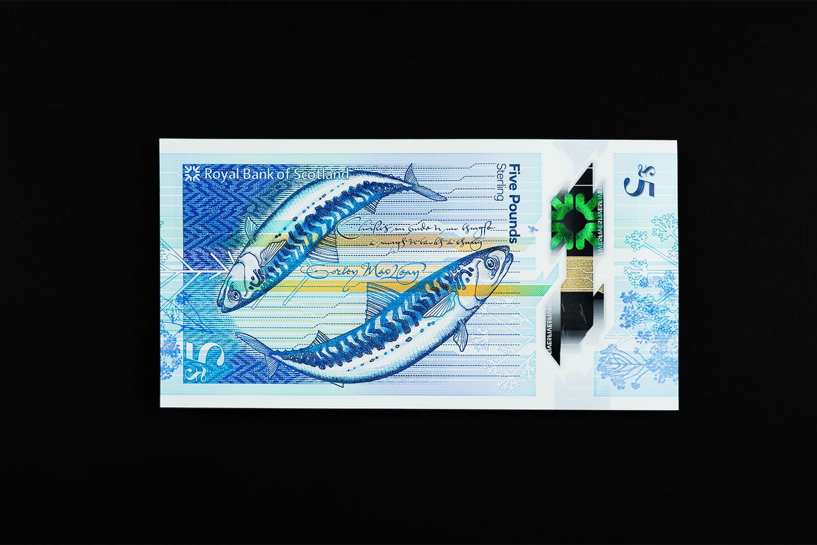 Royal Bank Of Scotland - The People's Money Banknotes £5 polymer banknote with mackerel design. O Street, Glasgow