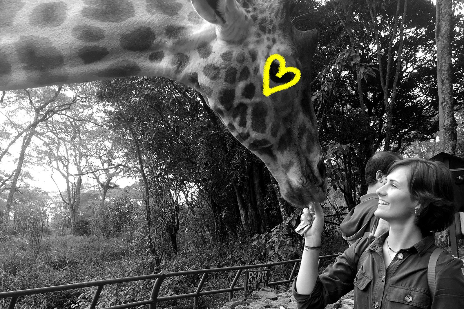 Tessa Simpson with a Giraffe in Narobi, Kenya for BuildX and Buildher project 