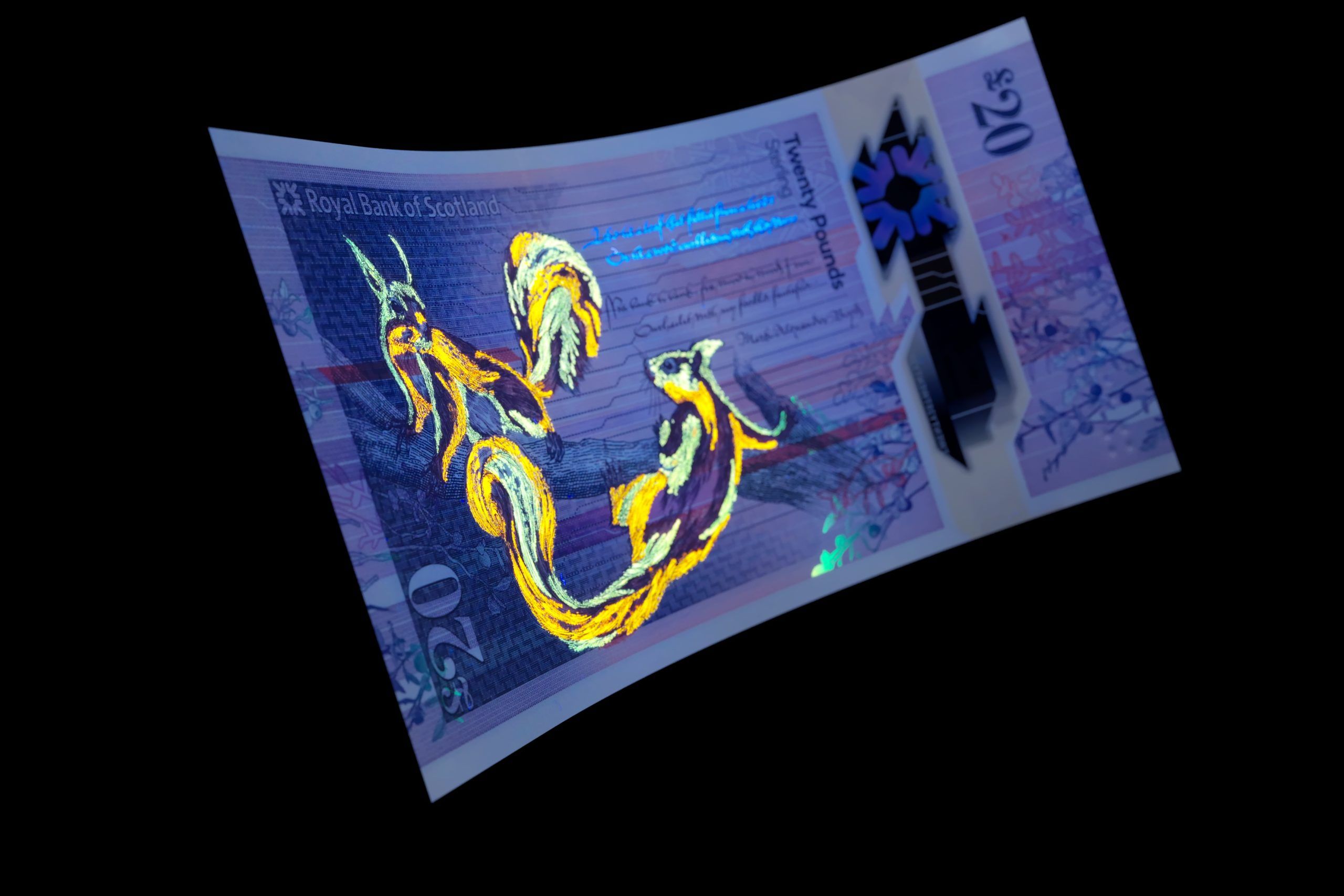 RBS £20 Scottish new polymer banknote UV red squirrels. Designed by O Street, Glasgow.